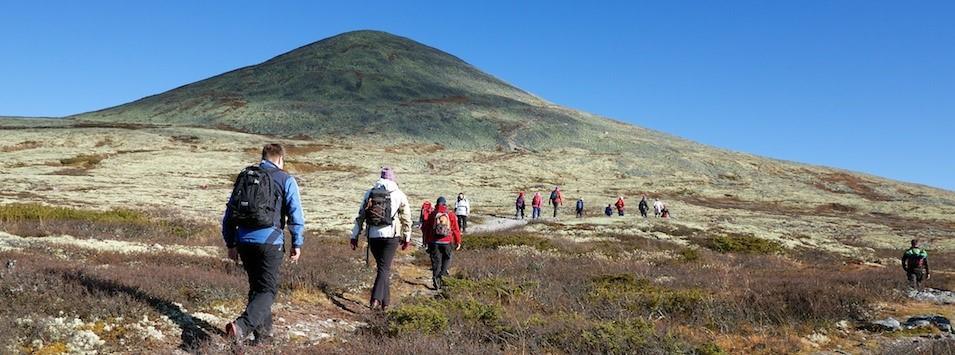 Fjelltur I Ringebu - Ringebu Kommune